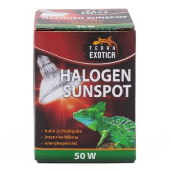 Terra Exotica Halogen Sunspot - Halogen Spotstrahler - 50 Watt